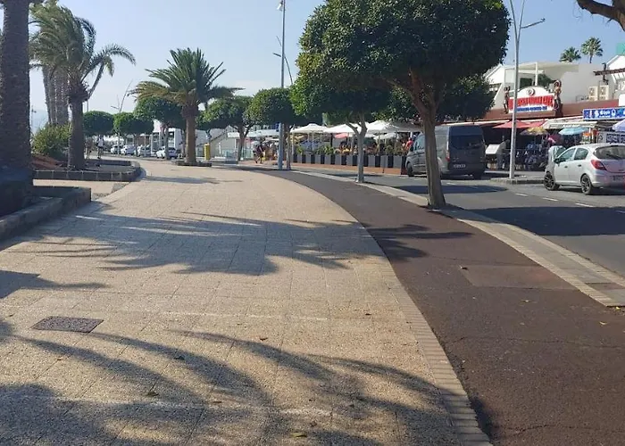 Arbustos Puerto del Carmen (Lanzarote)